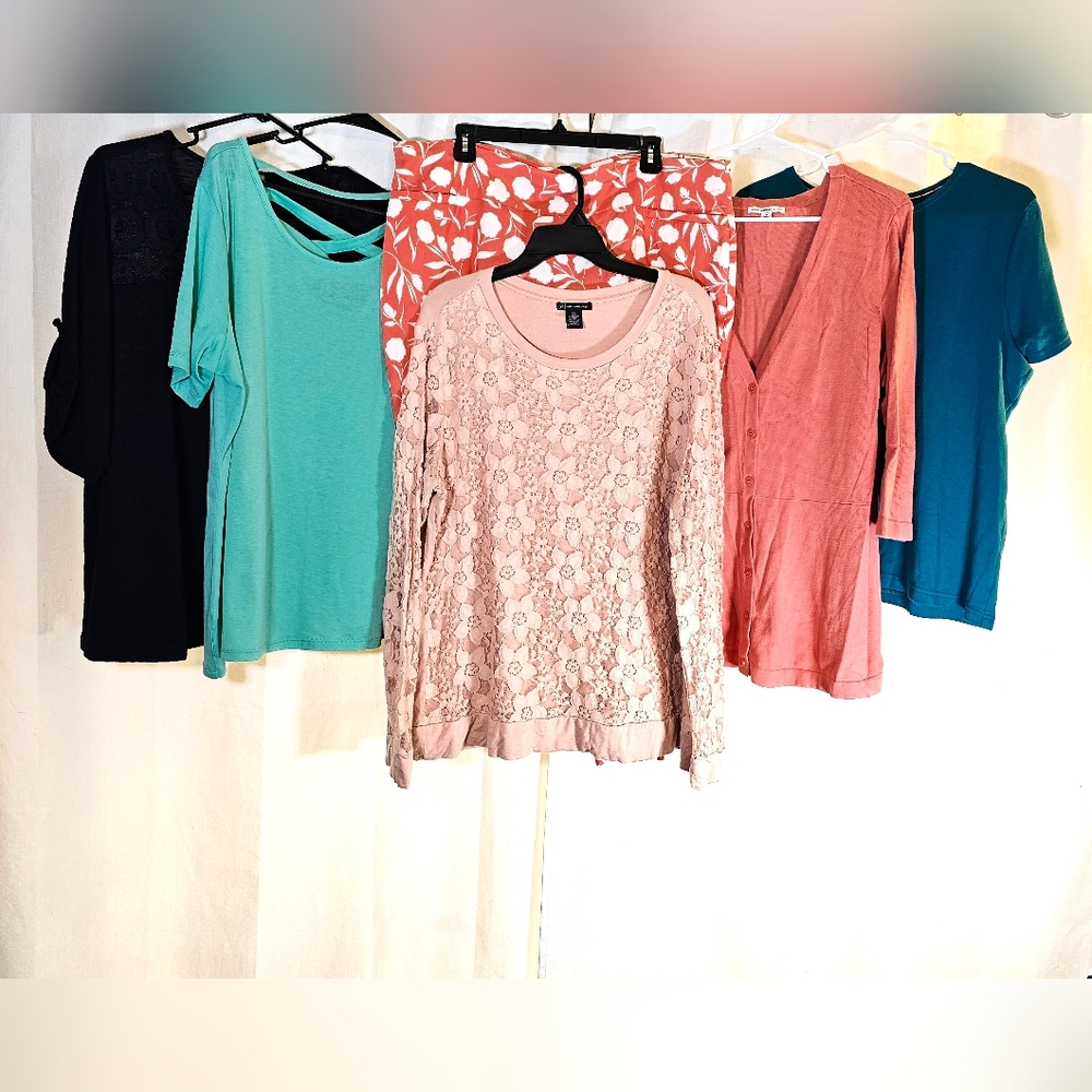 Mystery Box Adrianna Papell 1X-2X